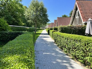 Weg entlang der Ferienhäuser