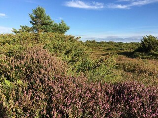 Ferienhaus Havnsø  17