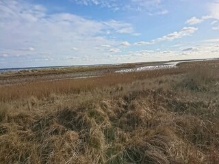 Vakantiehuis Hals  3