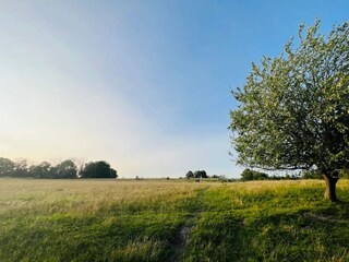 Vakantiehuis Rimforsa  28