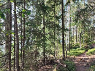 Vakantiehuis Rimforsa  27