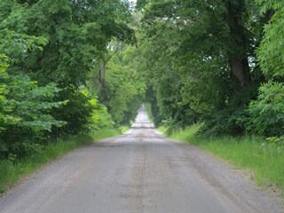 Vakantiehuis Rimforsa  43