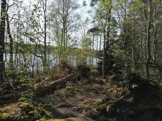 Vakantiehuis Rimforsa  15