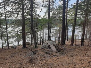 Vakantiehuis Rimforsa  16