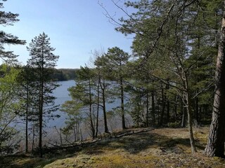 Vakantiehuis Rimforsa  20