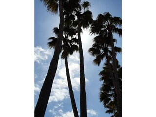 Appartamento per vacanze Costa Calma Ambiente 38