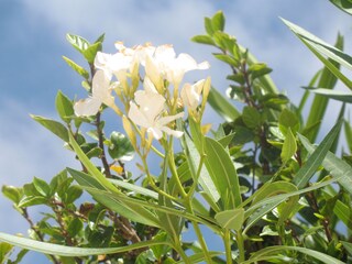 Appartamento per vacanze Costa Calma Registrazione all'aperto 10