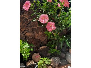 Appartamento per vacanze Costa Calma Registrazione all'aperto 13