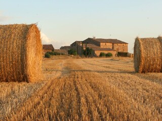 Casa de campo Cardona Entorno 27