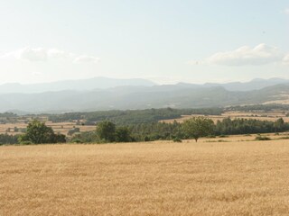 Cottage Cardona Environment 25