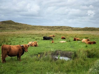 Bungalow Den Burg Ambiente 30