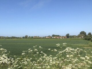 Vakantieappartement Vrouwenpolder Omgeving 29