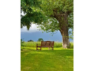 From the Garden, a Panoramic View of the Fields