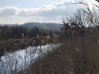 Natural Reserve Area Geltinger Birk
