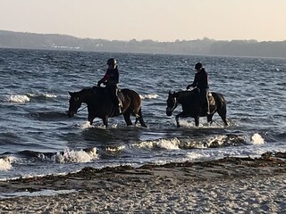 Riding and Much More…