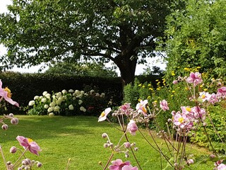 Unwind in the Garden