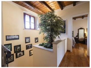 Villa Poggibonsi Caratteristiche 21