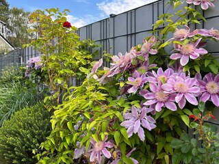 Ferienhaus Zingst Ausstattung 23