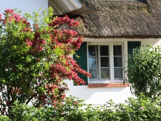 Gartenblick