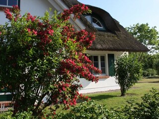 Gartenblick