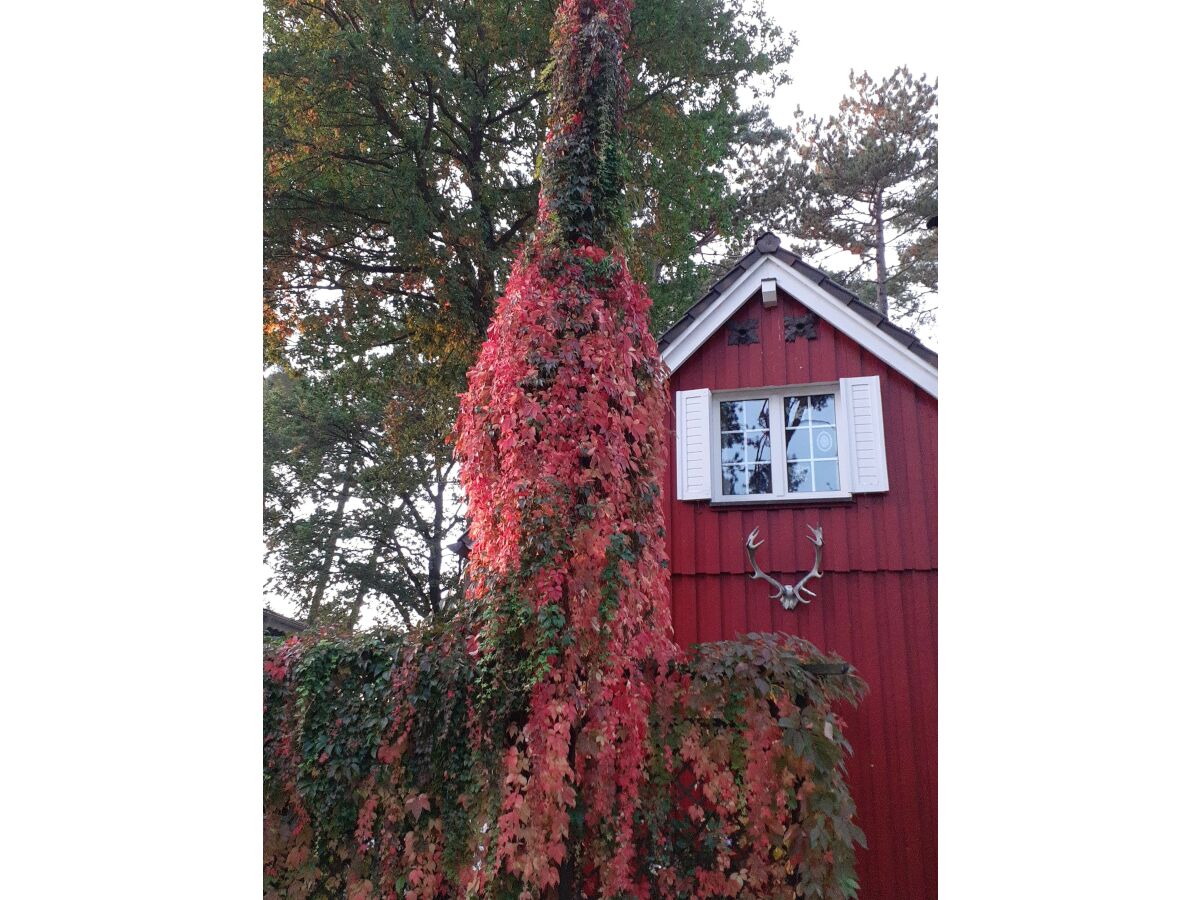 Giebelansicht im Herbst