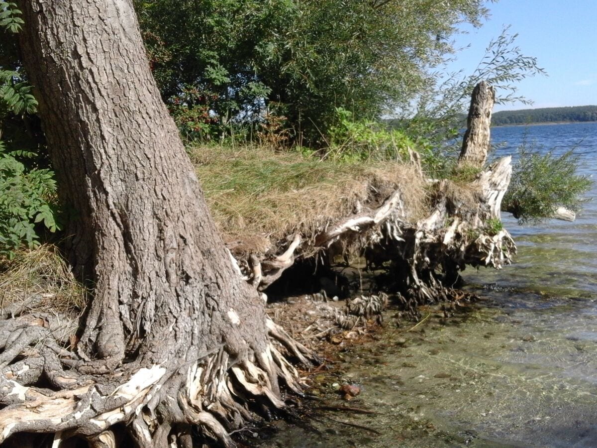 Natur_Ausspülung