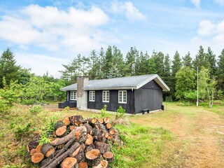 Vakantiehuis Blåvand  8