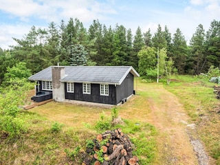 Vakantiehuis Blåvand Buitenaudio-opname 2