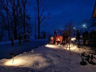 Chalet Tauplitz Entorno 39