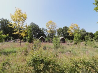 Ferienhaus Coevorden Umgebung 26