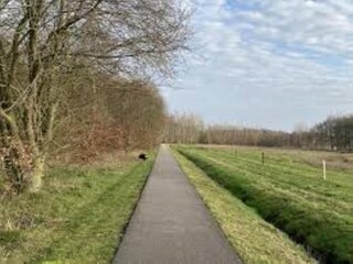 Vakantiehuis Coevorden Omgeving 30