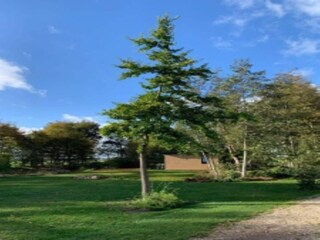 Vakantiehuis Coevorden Omgeving 28