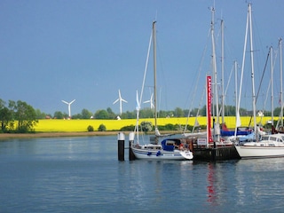 Vakantiehuis Kosel Omgeving 32