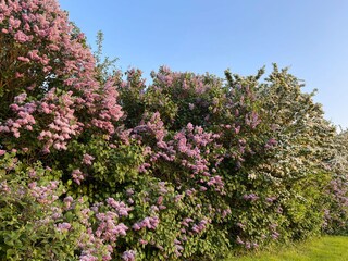 Casa per le vacanze Kosel Ambiente 30