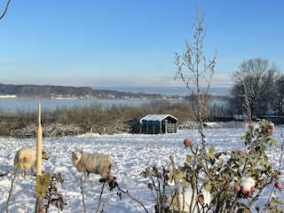 Maison de vacances Kosel Enregistrement extérieur 11
