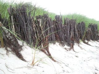 Apartamento de vacaciones Stoltenberg Entorno 17