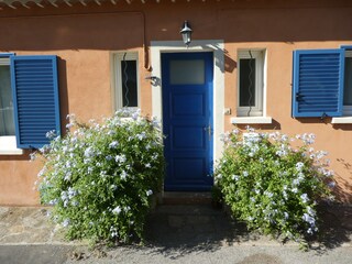 Appartamento per vacanze Bormes-les-Mimosas Registrazione all'aperto 3