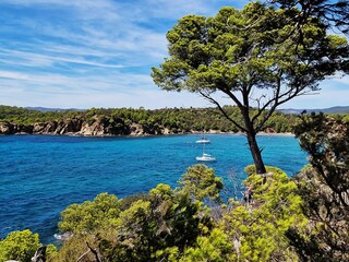 Appartamento per vacanze Bormes-les-Mimosas Ambiente 26