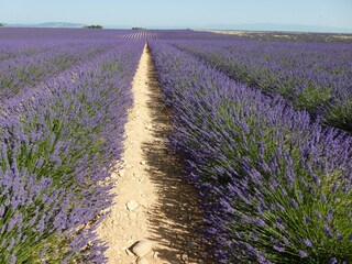 Appartamento per vacanze Bormes-les-Mimosas Ambiente 29