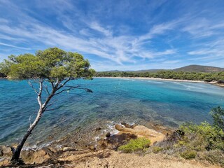 Appartamento per vacanze Bormes-les-Mimosas Ambiente 32