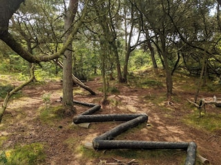 Ferienhaus Kongsmark  22