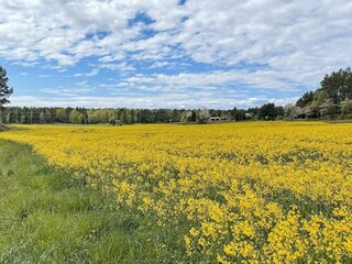 Vakantiehuis Lidköping  14
