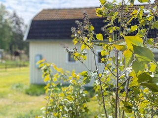 Ferienhaus Lidköping Außenaufnahme 4