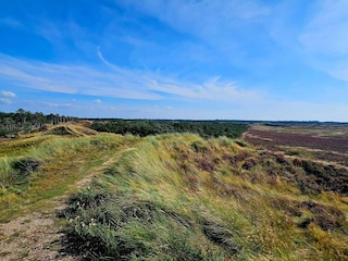 Ferienhaus Kongsmark Außenaufnahme 10