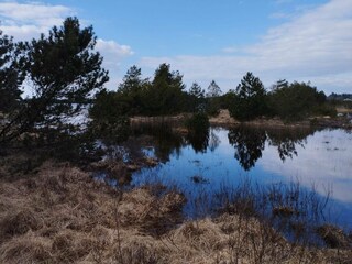 Vakantiehuis Kongsmark  55