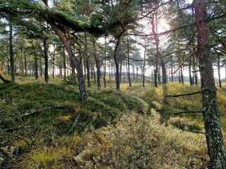 Vakantiehuis Kongsmark Buitenaudio-opname 4