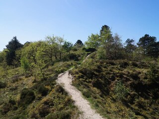 Casa de vacaciones Kongsmark Grabación al aire libre 2