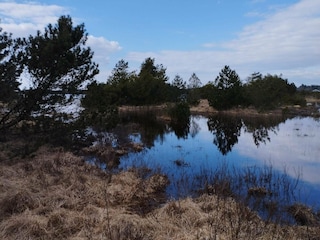 Holiday house Kongsmark  55
