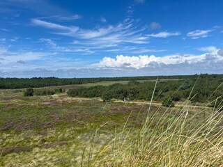Ferienhaus Kongsmark  44