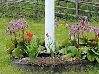 Ferienhaus Odensbacken Außenaufnahme 7